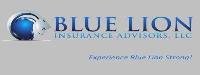 Blue Lion Insurance Advisors, LLC image 28